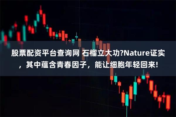 股票配资平台查询网 石榴立大功?Nature证实，其中蕴含青春因子，能让细胞年轻回来!