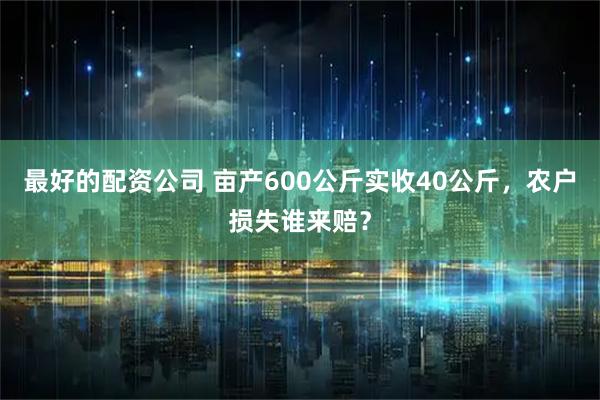 最好的配资公司 亩产600公斤实收40公斤，农户损失谁来赔？